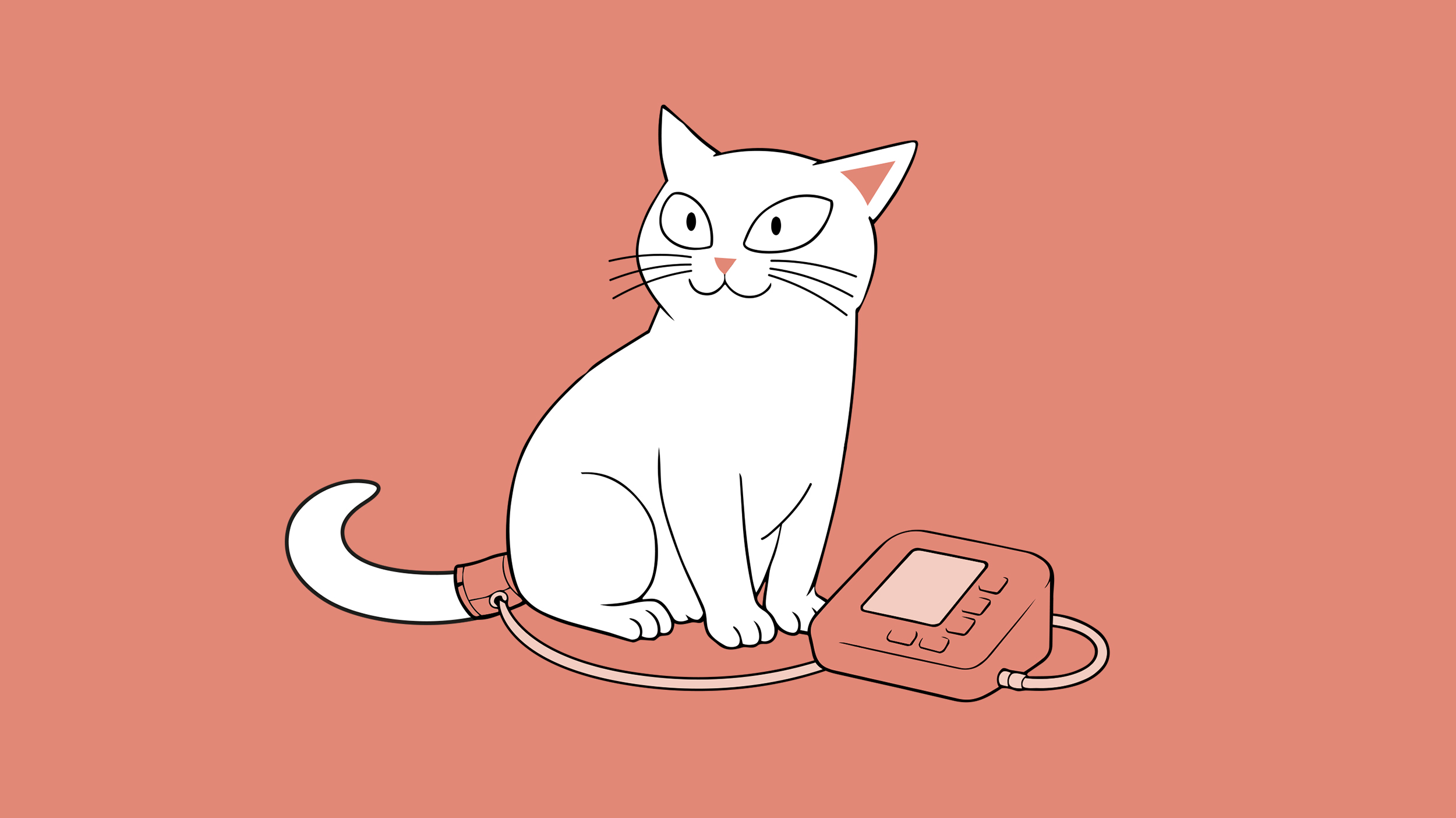 HIPERTENSIÓN FELINA